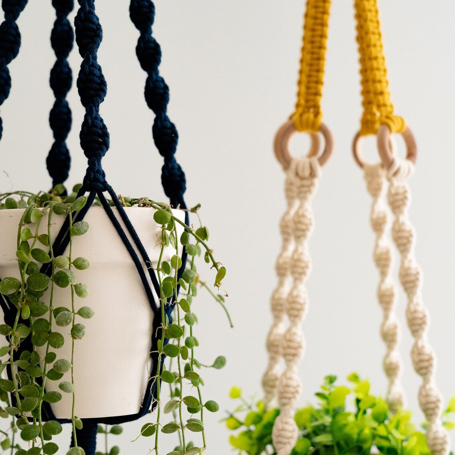 plant hanging rings 2 pcs Handwoven Plant Hanger-Cotton Rope Hanging Planter with Wooden R – 360 Elevated Shopping
