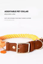 Premium Leather Pet Collar and Leash - Soft, Strong Braided Rope (Dark gray - Size L)